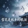 雪花是故乡的眼泪(他乡版)