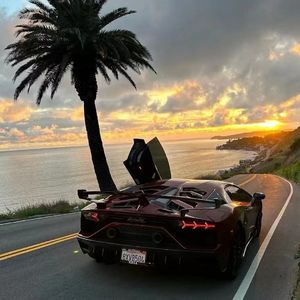 hellrose（地狱玫瑰）