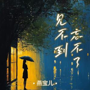 见不到忘不了 (DJ黄周豪版)