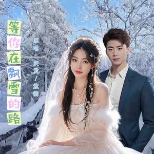 等你在飘雪的路