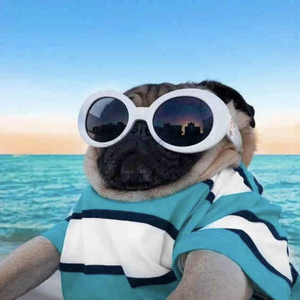 ❤生来善良坏的坦荡❤