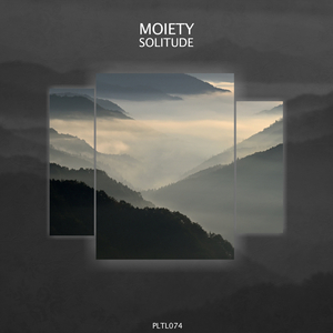Hiding (Original Mix)
