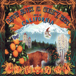 Haley's Comet (Live)