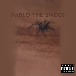 PABLO THE SPIDER INSTRUMENTAL