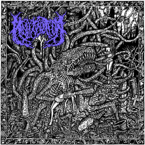 Malignancy of Conjure