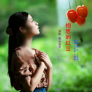 相思的红豆