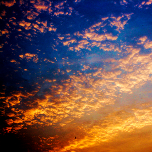 Vaeltava (Why Am I Here?)