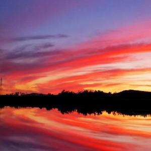 我愿浪迹于青山外