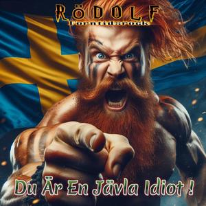 Du Är En Jävla Idiot !