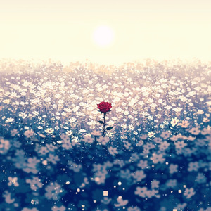 薔薇と恵みの堕天使