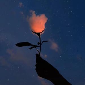 红利群（Cover YangYang）