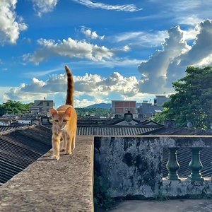 那年夏天分开时