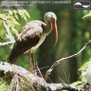 Part 15, Afternoon Melody