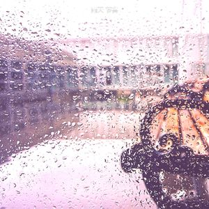 温和雷暴梦想