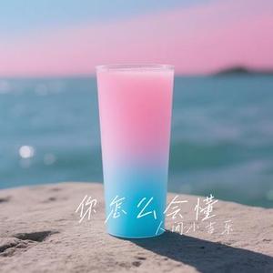 你怎么会懂