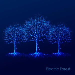 Electric Forest