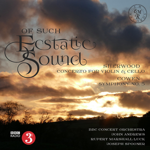 Symphony No. 5 in F Minor:I. Molto sostenuto e maestoso - Allegro, poco tranquillo