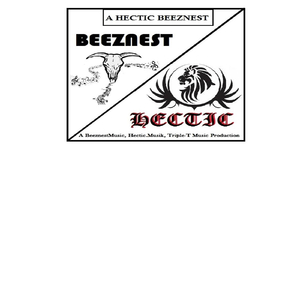 Doesn't Seem so United (feat. Triple-T)