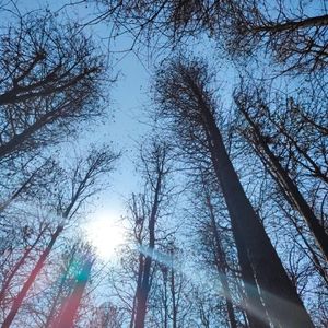 四块五（cover：隔壁老樊）