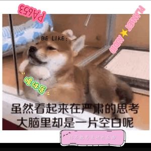 你不能思考那些东西