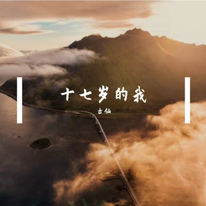 十七岁的我