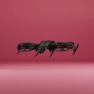 Flying ant day