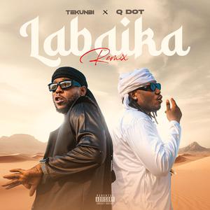 Labaika (feat. Qdot) (Remix)
