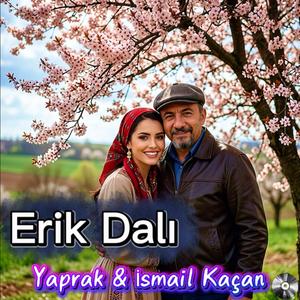 Erik Dalı