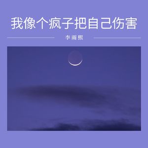 我像个疯子把自己伤害