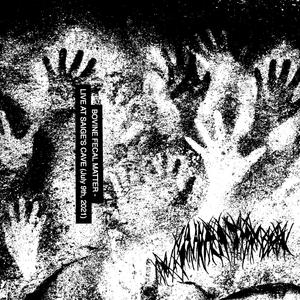 Bovine Fecal Matter (Live at Saige's Cave 07/09/21)