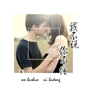 我不说你不懂（feat.奈漠）