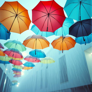 こんな雨の日も、悪くないよね