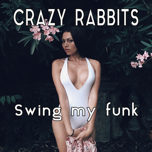 Swing my Funk (Radio Edit)