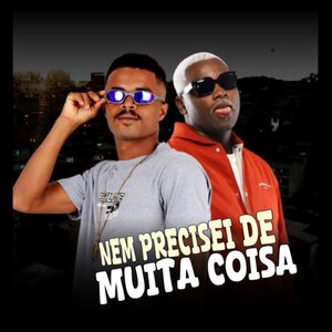 Nem Precisei de Muita Coisa