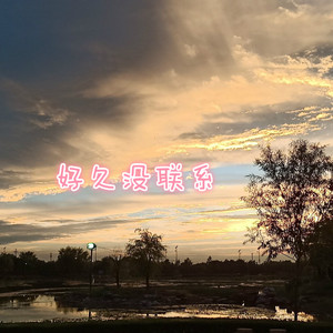 好久没联系