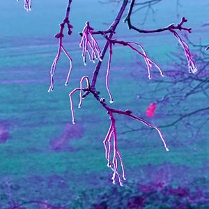 刺猬-2024色彩漫游（你怎么不接我电话？ remix）