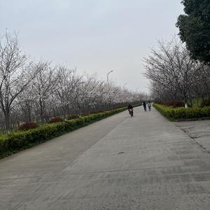 export-2022-0516-021320