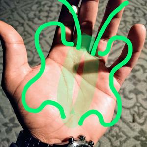 Bailout (commentary)