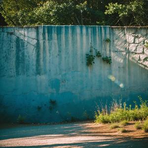 相和歌辞白头吟二首