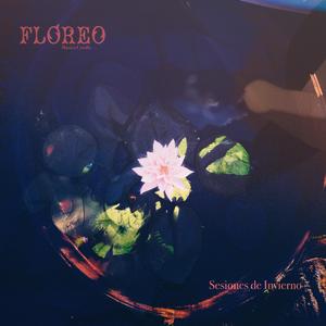 Zamba del Chaguanco (En vivo)