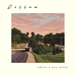 Dream a New Dream