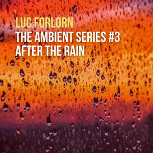 The Ambient Series #3: After The Rain