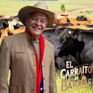 Una Parranda en Barinas