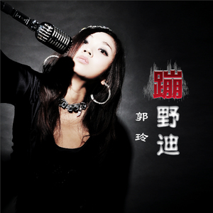 蹦野迪 (Dj何鹏版)