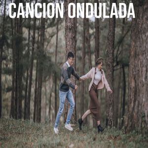 Bodas negras
