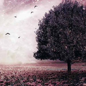 泛黄的约定 伴奏