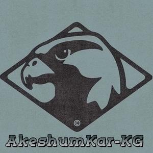 玛纳斯 伴奏（AkeshumKar-KG remix）