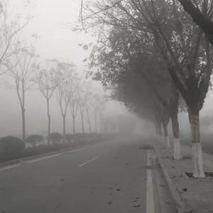 迷雾freestyle（Prod.wellwell）