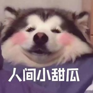 所念皆星河
