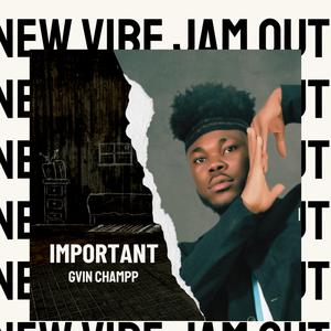 Important (Acoustic Version)